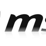 INICIO logo msi